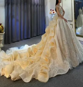 2022 New Design Ruffles Skirt Long Train Wedding Dress