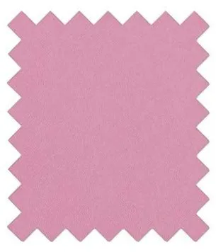 Candy Pink Wedding Swatch