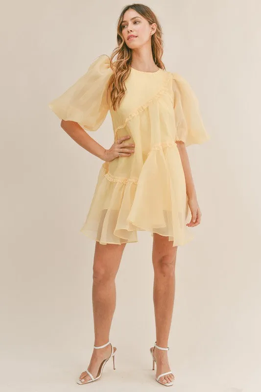 Organza Puff Sleeve Mini