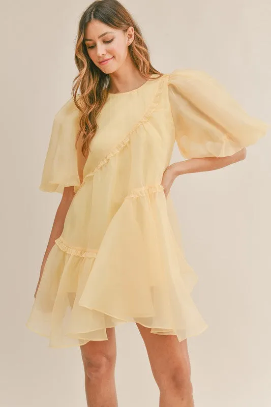 Organza Puff Sleeve Mini